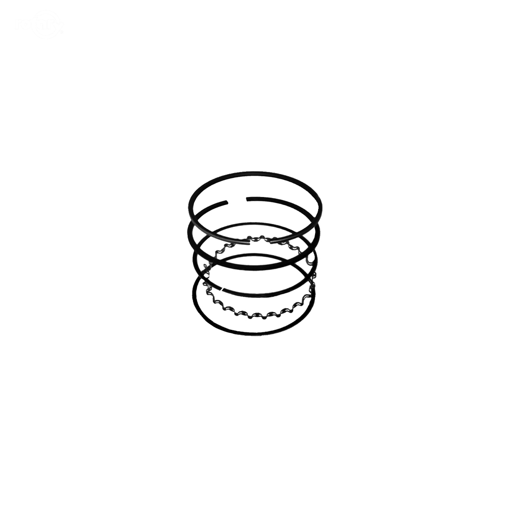 10755-B&S PISTON RING SET (STD)