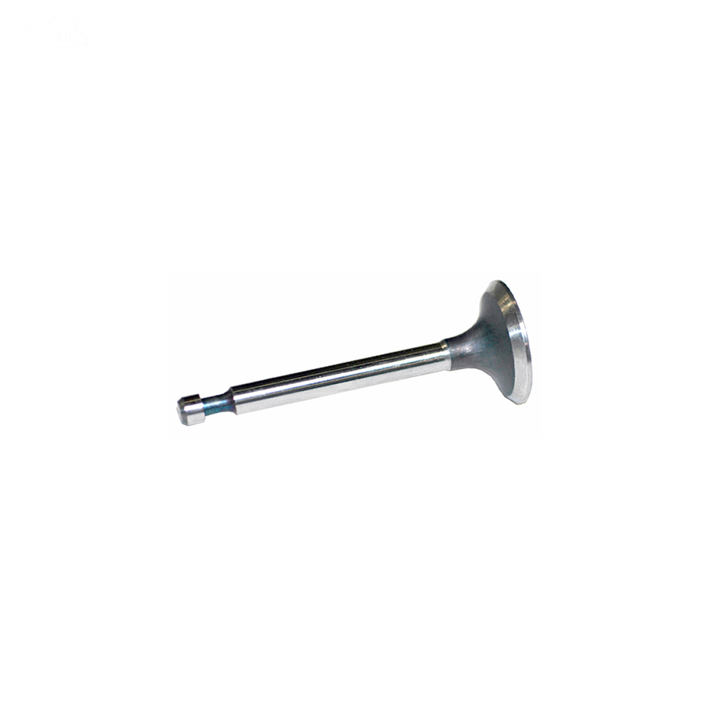 2830-INTAKE VALVE FOR KOHLER