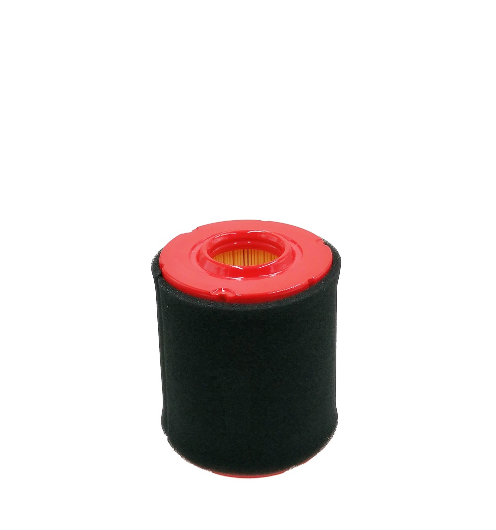 21018-AIR FILTER FOR MTD