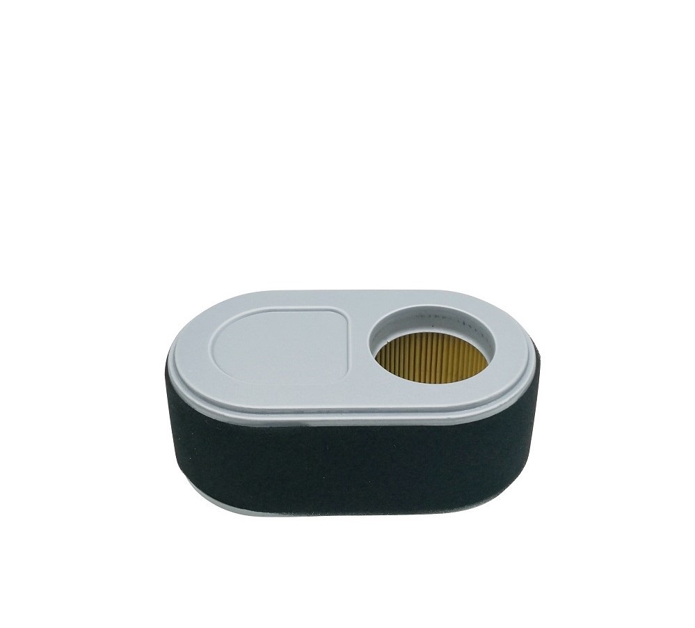 21021-AIR FILTER FOR MTD