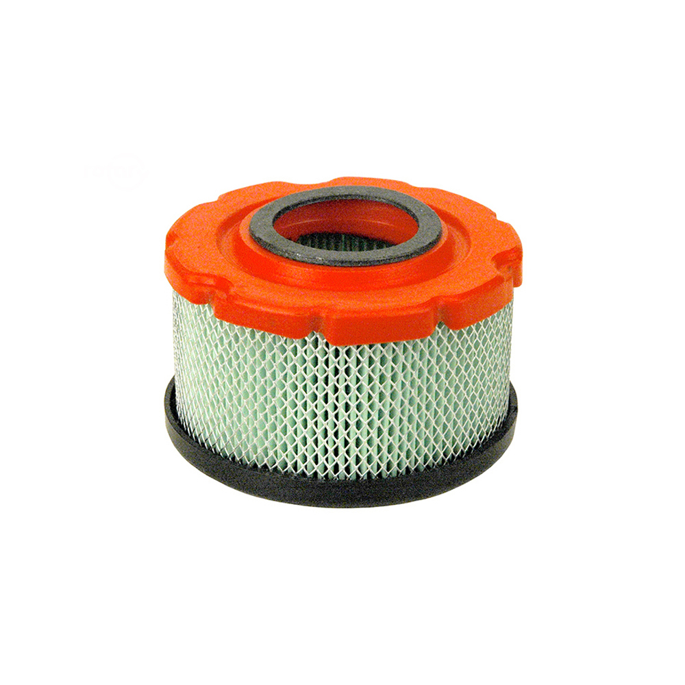 14089-AIR FILTER (CARTRIDGE) FOR B&S